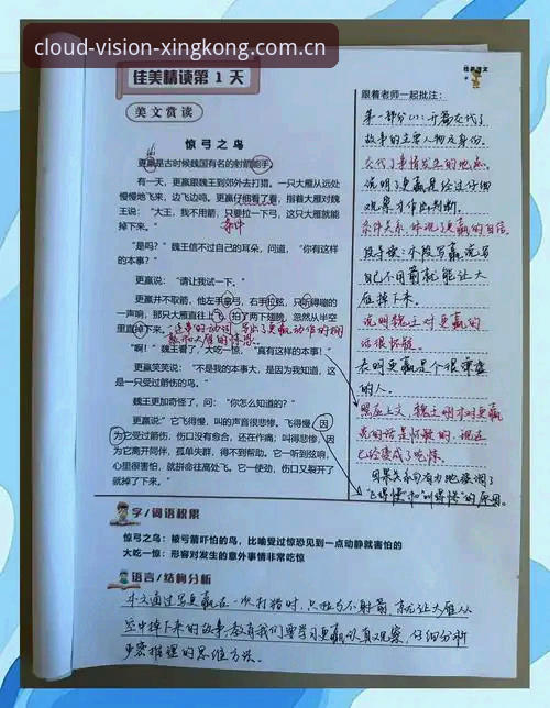 皮奥破茧之路——从黑洞边缘到蓝衣军团锋线答案的观察笔记